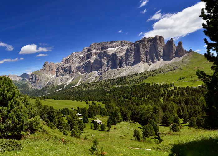 Un'ode alla bellezza delle Dolomiti e al fascino di Canazei: Riccardo Nemela intervistato dal blog internazionale di Coldwell Banker